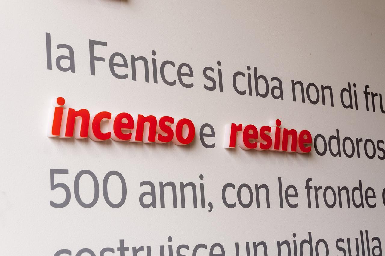 Villa Fenix Osio Sotto Exteriér fotografie